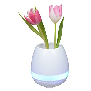 Additional Image 1 - a pink and white tulips in a white vase