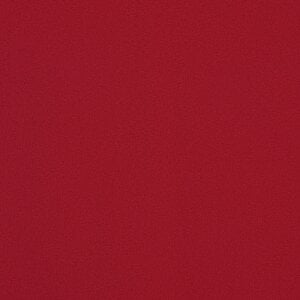 Additional Image 2 - a orange wall with a white stripe