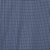 a close up of a blue and white checkered shirt