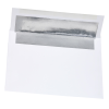 Additional Image 1 - a white envelope with a silver strip