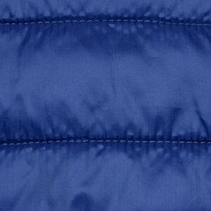 Additional Image 2 - a blue down jacket with a stitching