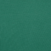 Additional Image 2 - a green surface with a white spot