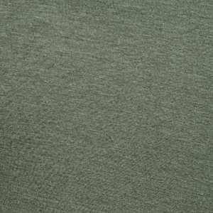 Additional Image 2 - a green surface with a white spot