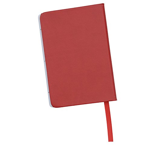 Additional Image 2 - a red rectangular object with a red stick