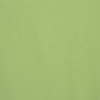 Additional Image 2 - a green wall with a white stripe