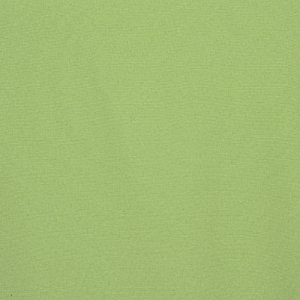 Additional Image 2 - a green wall with a white stripe