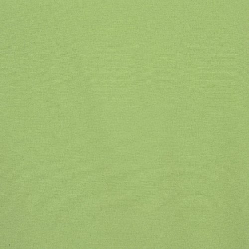 Additional Image 2 - a green wall with a white stripe