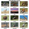View Image 2 of 2 of Wildlife Watch Calendar