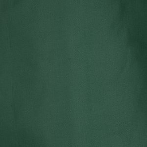 Additional Image 3 - a green object with a white spot