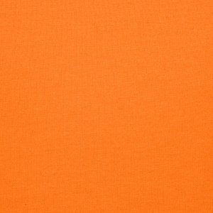Additional Image 2 - an orange background