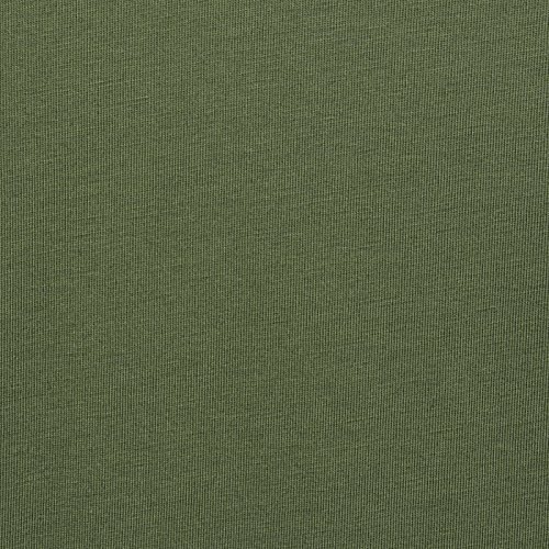 Additional Image 2 - a green wall with a white stripe