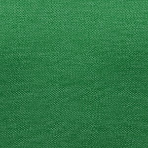 Additional Image 2 - a green surface with a white spot