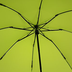 Additional Image 1 - a spider on a yellow umbrella