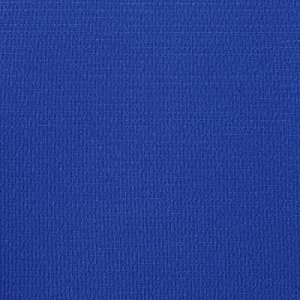 Additional Image 2 - a blue surface with white spots