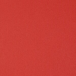 Additional Image 2 - a red surface with white lines