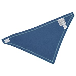 Additional Image 1 - a blue triangle with white dots