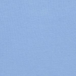 Additional Image 2 - a blue sky with no clouds