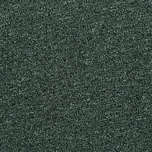 Additional Image 2 - a black and white photo