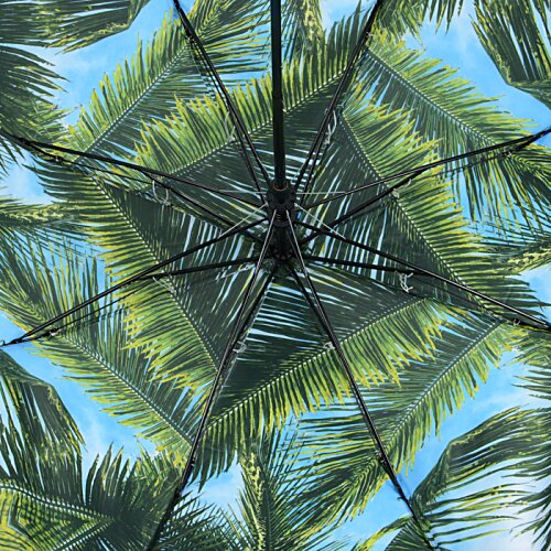 Additional Image 4 - a close up of a palm tree umbrella