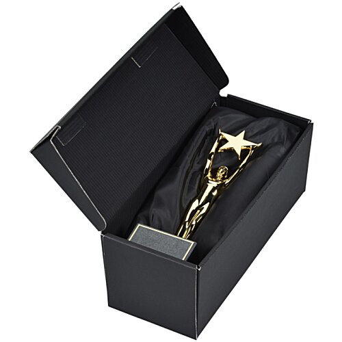 Additional Image 3 - a black box with a gold trophy in it