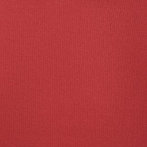 Additional Image 2 - a red surface with a white stripe