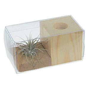 Additional Image 1 - a wooden block with a cactus inside