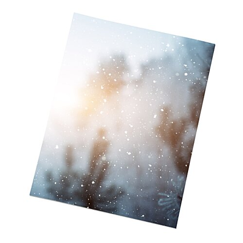 Additional Image 1 - a blurry image of trees