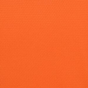 Additional Image 2 - an orange surface with a black spot