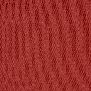 Additional Image 2 - a red surface with white lines