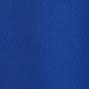 Additional Image 2 - a blue surface with white dots