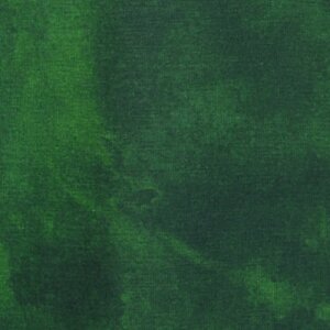 Additional Image 2 - a green leafy plant