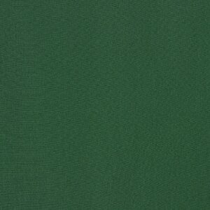 Additional Image 3 - a green wall with a white stripe