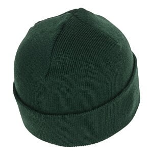 Additional Image 1 - a green beanie on a white background