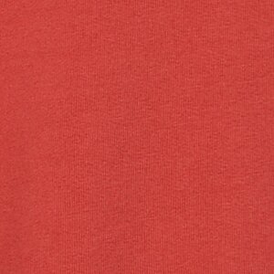 Additional Image 2 - a red surface with white text