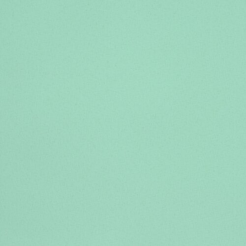 Additional Image 3 - a green surface with a white spot