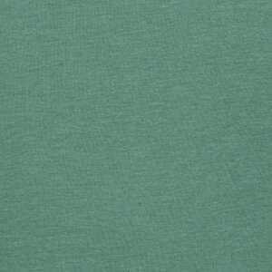 Additional Image 2 - a green wall with a white stripe