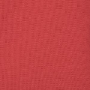 Additional Image 2 - a red surface with a white stripe