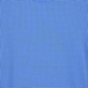 Additional Image 3 - a blue and white checkered shirt