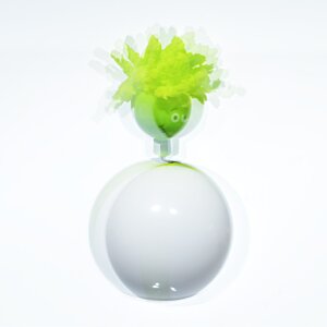 Additional Image 4 - a white round object with a green top