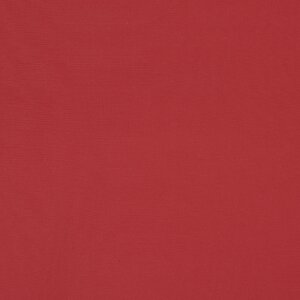 Additional Image 3 - a red surface with a white stripe