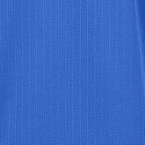 Additional Image 2 - a blue square on a blue surface