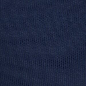 Additional Image 2 - a blue surface with white spots