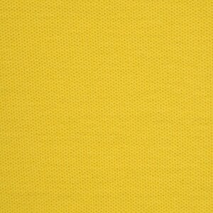 Additional Image 2 - a yellow surface with a black stripe