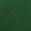 Additional Image 2 - a green surface with white spots