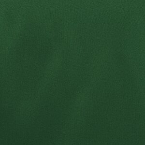 Additional Image 2 - a green surface with white spots