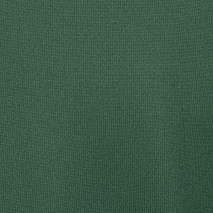 Additional Image 2 - a green wall with a white stripe