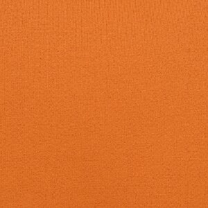 Additional Image 2 - an orange surface with a black stripe