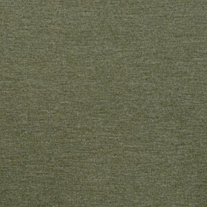 Additional Image 2 - a green surface with white spots