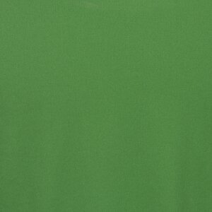 Additional Image 2 - a green wall with a white stripe