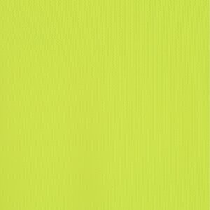 Additional Image 2 - a green object with a white stripe